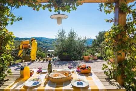Maison en pierre avec piscine commune clôturée à Valfabbrica : photo 7
