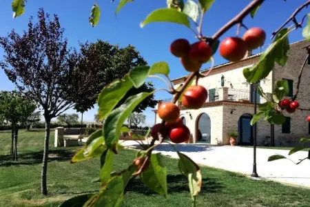 Maison 8 chambres avec piscine et vue 360° à Corridonia : photo 11