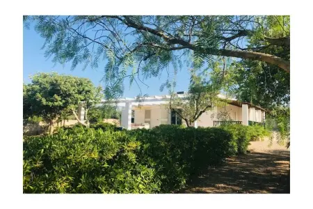 211242, Villa à Manduria avec piscine : photo 7