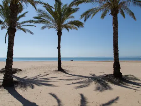 Appartement vue baie face plage Los Olivos, Cullera : photo 32