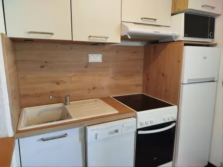 Appartement vue mer et climatisation à Saint-Cyprien, 4 pers. : photo 11