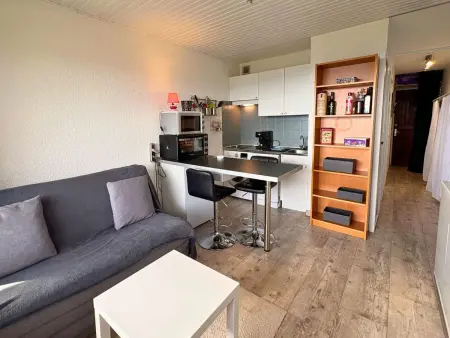 Studio 21 m² avec balcon plein sud à Saint-Michel-de-Chaillol : photo 4