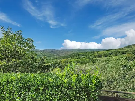 Maison Pod Meloni avec piscine privée, 4 chambres à Motovun : photo 26