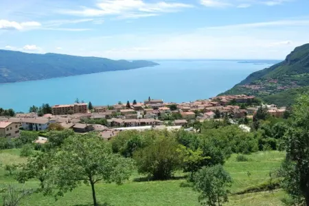 162585, Melograno - Il Melo : photo 20