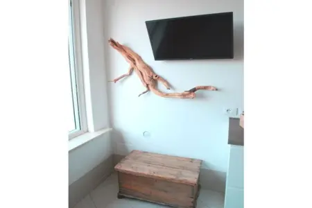 162582, Appartement de vacances avec 1 chambre : photo 10