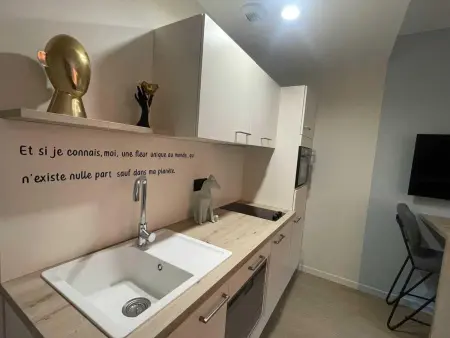 Appartement de plain-pied à Niergnies, près de Cambrai, 3 pers. : photo 7