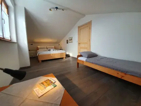 Maison avec piscine privée sur grand terrain à Buje, Istrie : photo 17
