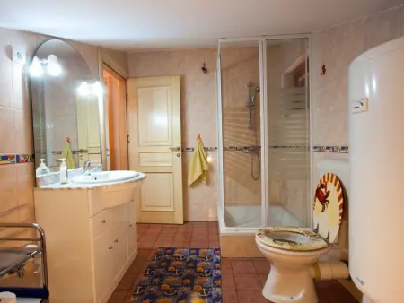 Maison avec piscine privée sur grand terrain à Buje, Istrie : photo 23