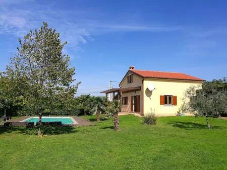 Maison avec piscine privée sur grand terrain à Buje, Istrie : photo 45