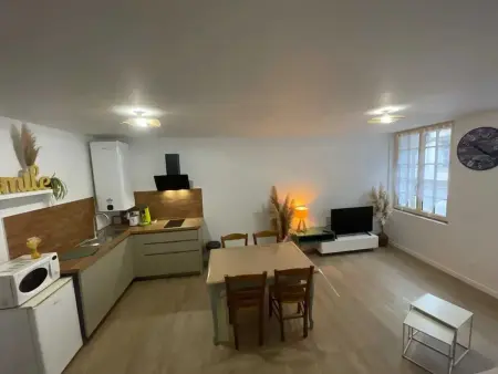 Appartement Montoire-sur-le-Loir 55 m² terrasse, Appartement 4 personnes à Montoire sur le Loir : photo 1