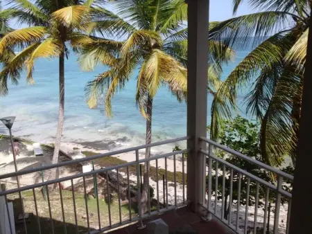 Studio 43 m² vue mer, terrasse privée, Le Gosier : photo 1