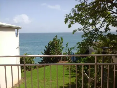Studio 43 m² vue mer, terrasse privée, Le Gosier : photo 5
