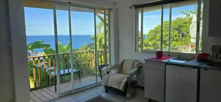Studio vue mer à Schœlcher, 35 m², balcon privé : photo 6