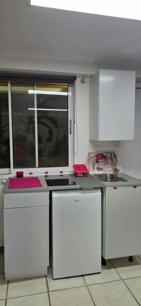 Studio vue mer à Schœlcher, 35 m², balcon privé : photo 9