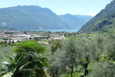 97414, Villa Rosella : photo 5