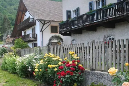 425916, Marguerite - Praitladhof : photo 4