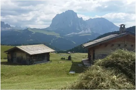 Maison Pavel avec terrasse et vue Dolomites, Sankt Ulrich : photo 10