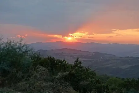 380853, Maison de vacances à Perticara (RN) avec Wi-Fi : photo 5