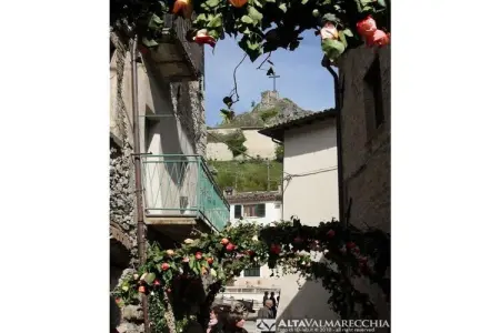 380853, Maison de vacances à Perticara (RN) avec Wi-Fi : photo 32