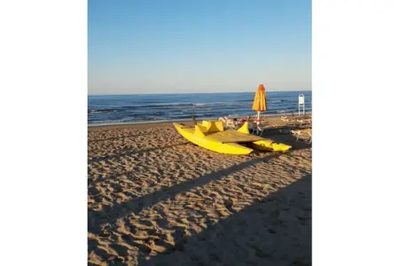 380853, Maison de vacances à Perticara (RN) avec Wi-Fi : photo 35
