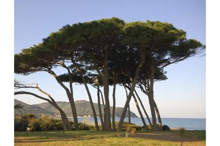 Villa avec jardin clos et piscine, San Vincenzo, 6 pers. : photo 20