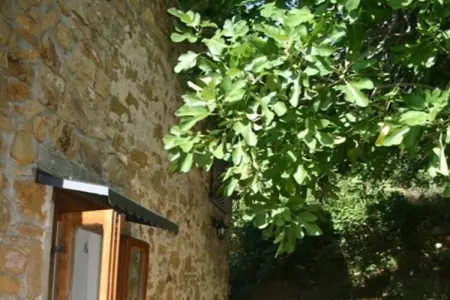 Gîte avec piscine et vue sur la campagne à Montebuono, Sorano : photo 6