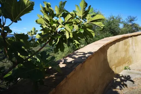 Maison champêtre avec pataugeoire privée à Seggiano, Toscane : photo 2