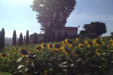 224419, Loggia Paradiso : photo 9