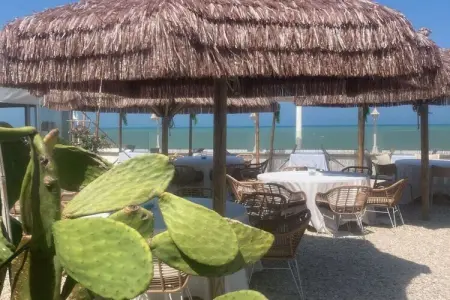 224419, Loggia Paradiso : photo 41