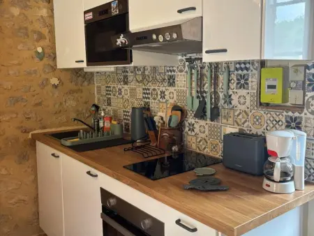 Maison avec jardin privé à Saint-Pompon, Périgord Noir : photo 5
