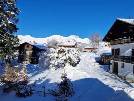Appartement 3 pièces 53 m² avec piscine, parking et animaux admis à Crest-Voland : photo 9