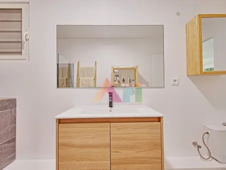 Appartement avec jardin privatif et cocotier à Saint-Martin : photo 9