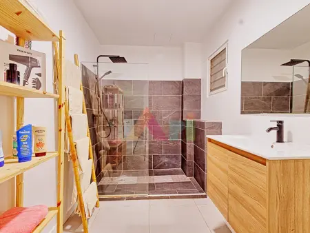 Appartement avec jardin privatif et cocotier à Saint-Martin : photo 10