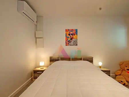 Appartement avec jardin privatif et cocotier à Saint-Martin : photo 11