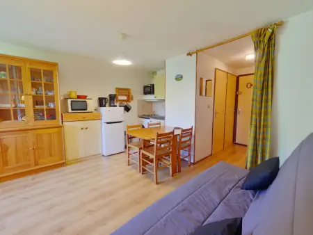 Studio lumineux aux Rousses - 4 pers., Appartement 4 personnes à Les Rousses : photo 1