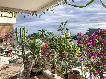 3P in Saint-Pierre, Appartement 4 personnes à Entre Deux : photo 2