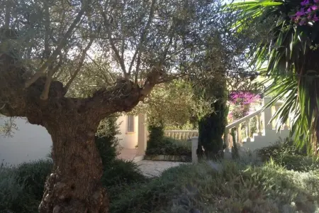 62350, Maison de vacances à Dénia avec piscine : photo 8