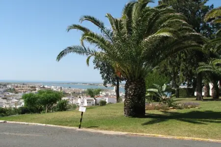 166159, Appartement de vacances avec 1 chambre : photo 23