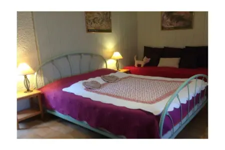 Maison La Martinade, 6 chambres et piscine à Saint-Remèze : photo 12
