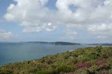 204219, Maison de vacances à Crozon avec piscine : photo 7