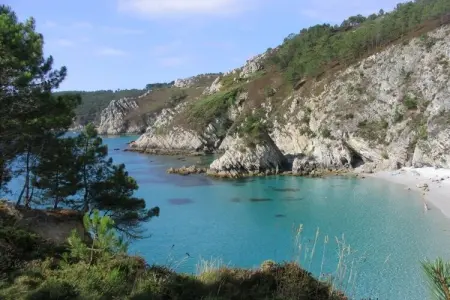 204219, Maison de vacances à Crozon avec piscine : photo 15