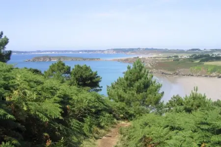 204219, Maison de vacances à Crozon avec piscine : photo 17
