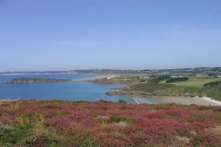 204219, Maison de vacances à Crozon avec piscine : photo 18