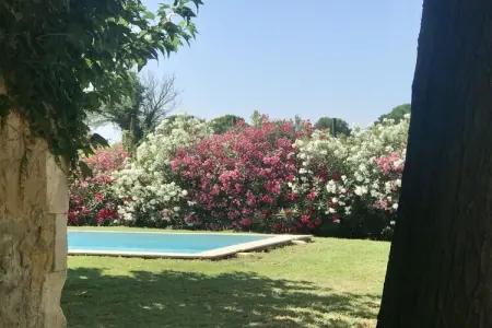 635209, La Bastide Plein Sud : photo 14