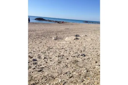 Maison mitoyenne les pieds dans le sable, Frontignan-Plage : photo 6