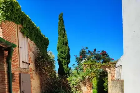 Maison avec piscine et jardin méditerranéen à Ste Marie La Mer : photo 6