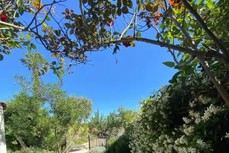 Maison avec piscine et jardin méditerranéen à Ste Marie La Mer : photo 7