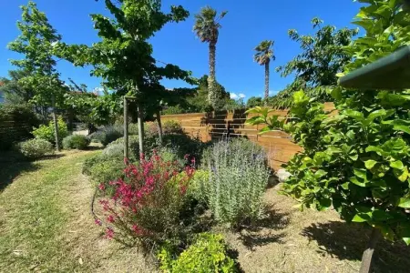 Maison avec piscine et jardin méditerranéen à Ste Marie La Mer : photo 32