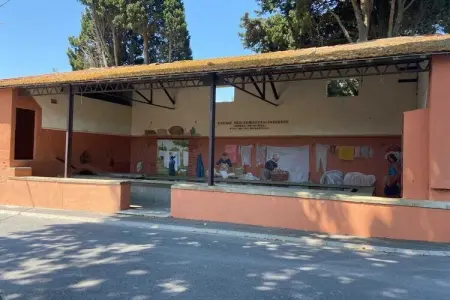 Maison avec piscine et jardin méditerranéen à Ste Marie La Mer : photo 34