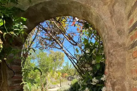 Maison avec piscine et jardin méditerranéen à Ste Marie La Mer : photo 38